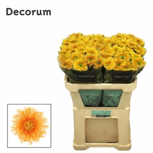 Chrysant Deco Etrusko Orange