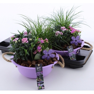 ARR TUINPLANTEN