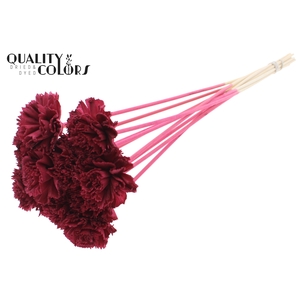 Shola Karnish Flower 6cm on stem Burgundy