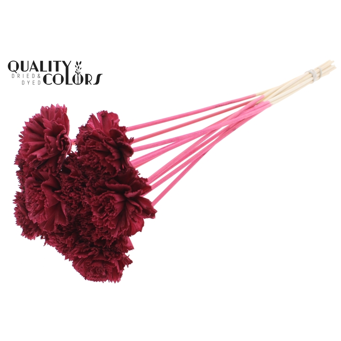 <h4>Shola Karnish Flower 6cm on stem Burgundy</h4>
