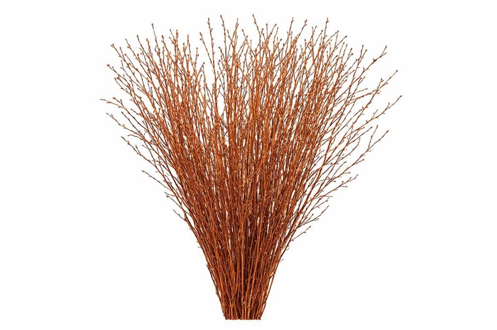 <h4>Berk 70cm Koper Pbs</h4>
