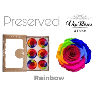 R Preserved Rainbow Red