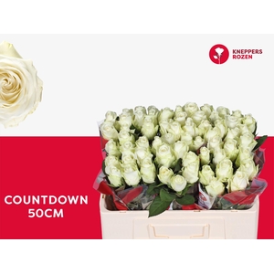 R GR COUNTDOWN! 50