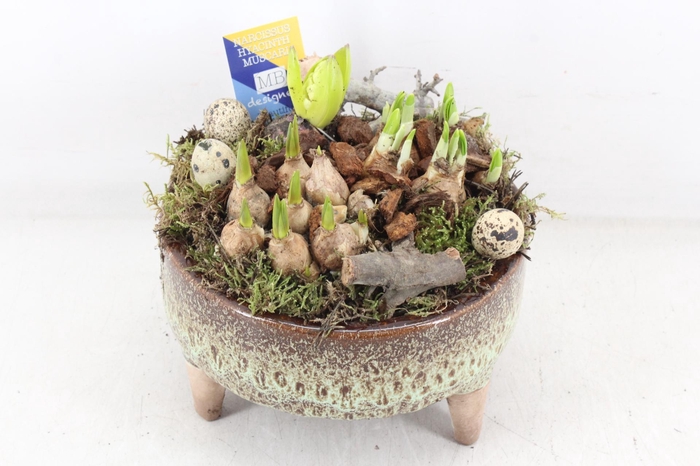 <h4>arr4 Bollenmix MB - Ker. schaal pootjes x5</h4>