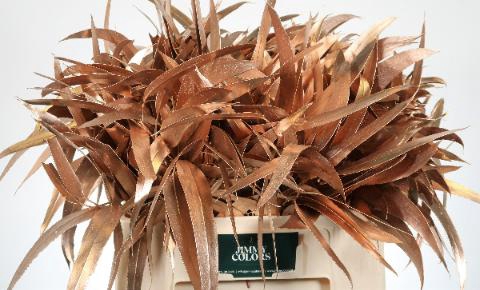 <h4>Vi Mtlc. Rose Goud</h4>