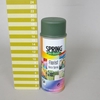 Decoration Decospray 400ml Moss Green