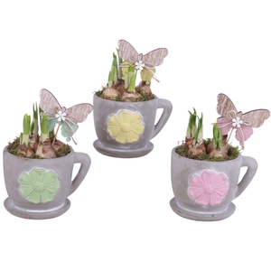Bulbs Arr. Narcis Ceramic Cup and Saucer 3D Flower Ø12cm