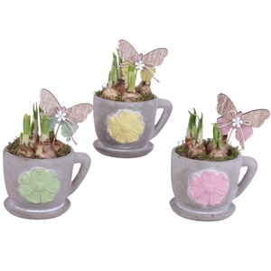 Bulbs Arr. Narcis Ceramic Cup and Saucer 3D Flower Ø12cm