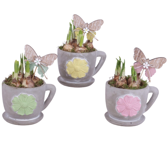 <h4>Bulbs Arr. Narcis Ceramic Cup and Saucer 3D Flower Ø12cm</h4>