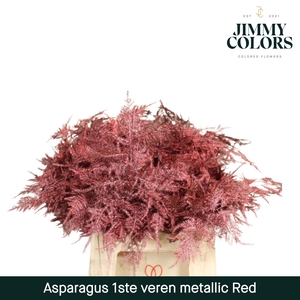 Aspa 1ste veren + glitter Metallic red + glitter