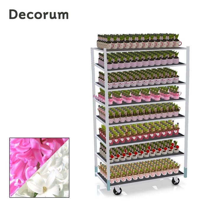 CC TENDER MINI 2026 - 1 prijs per stuk, incl. fust