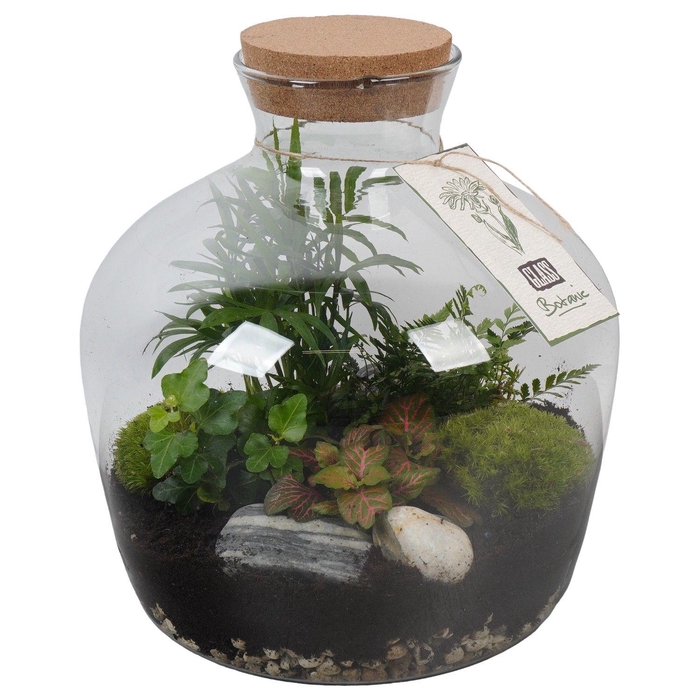 <h4>PTGIG2176 Arrangement Greens in glass in glazen terrarium</h4>