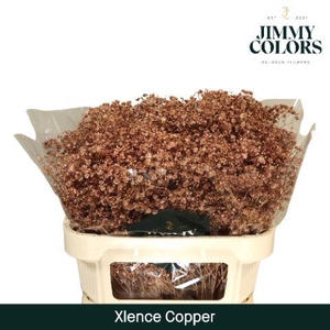 Gyps Xlence L70 Mtlc. Copper