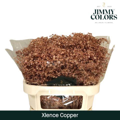 <h4>Gyps Xlence L70 Mtlc. Copper</h4>