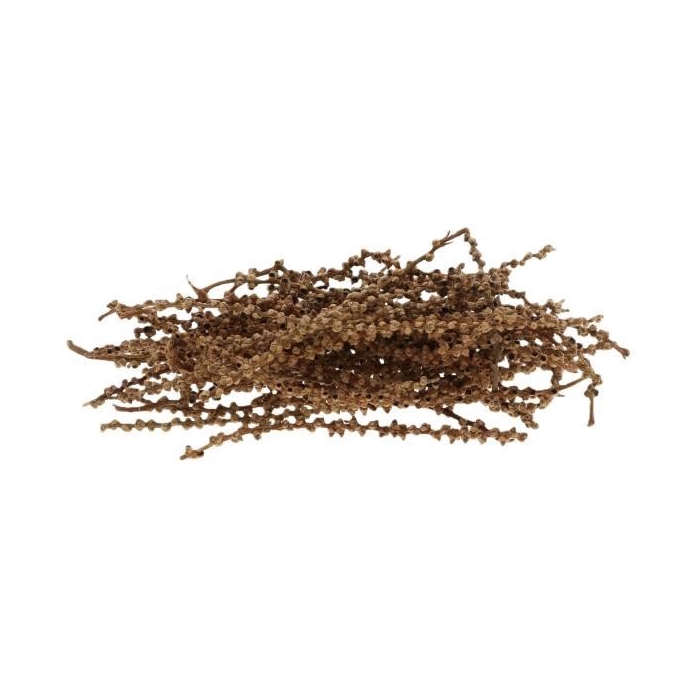 <h4>Palm Finger 50g L10W12H27</h4>