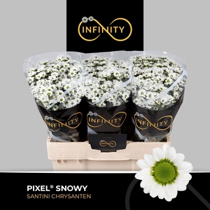 Chr S Pixel Snowy