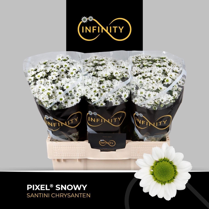 <h4>Chr S Pixel Snowy</h4>