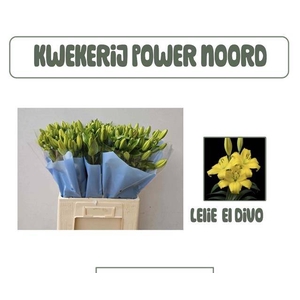 LI LA EL DIVO