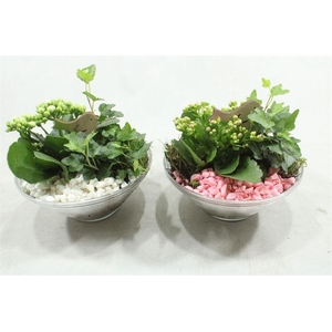 0531 GLAS 20CM ROZE/WIT