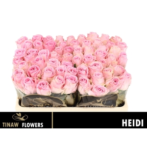 R GR HEIDI!