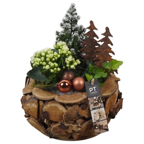 <h4>PTCHB9814 Arrangementen Kerst</h4>