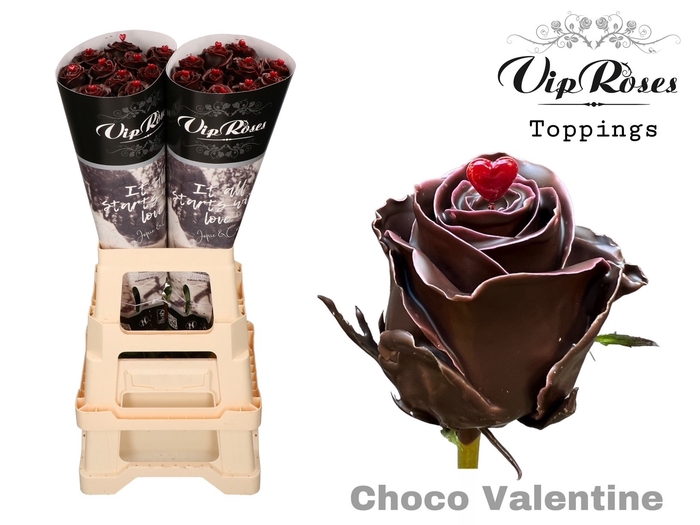 <h4>R GR CHOCO VALENTINE x10</h4>