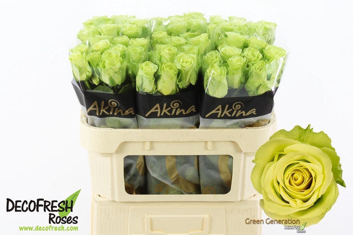 R Gr Green Generation