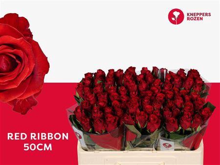 <h4>R Gr Red Ribbon</h4>