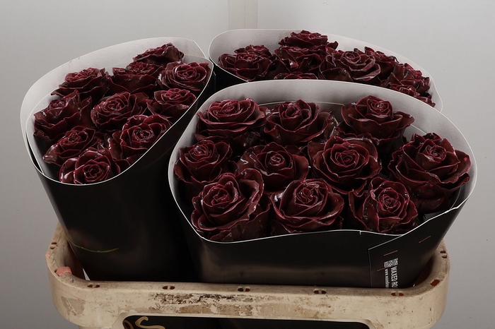 Wax-Rozen Wax Classic Choco