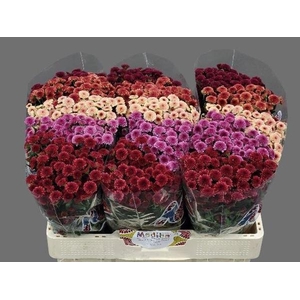 CHR SAN MAD TYO GEM FT