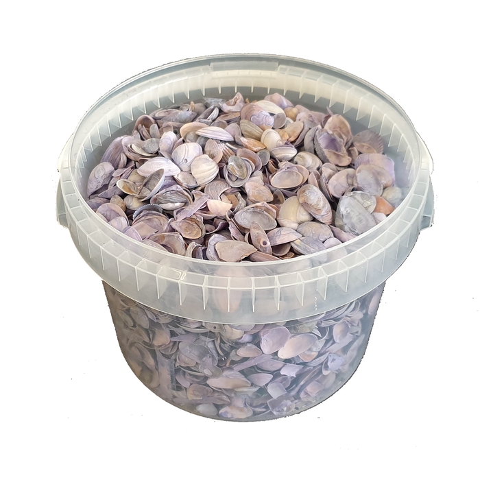 <h4>Shells north sea 3 ltr Frosted Milka</h4>