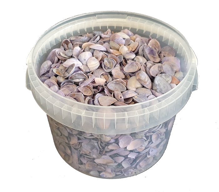 Shells north sea 3 ltr Frosted Milka