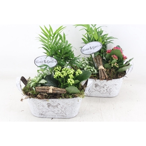 arr2 TD - Zink ovaal - roze/wit