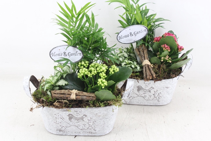 <h4>arr2 TD - Zink ovaal - roze/wit</h4>