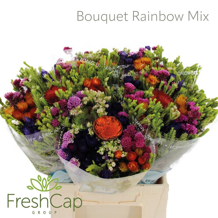 <h4>Bouquet Rainbow Mix</h4>