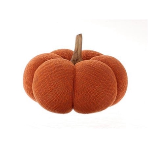 Pumpkin Gautal H20d20