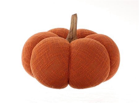 Pumpkin Gautal H20d20