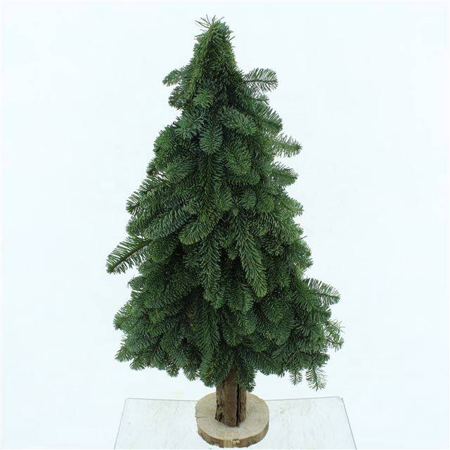 <h4>ABIES NOBILIS BLAUW</h4>