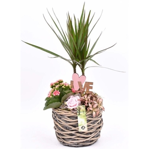 Wilg mand grijs 18cm