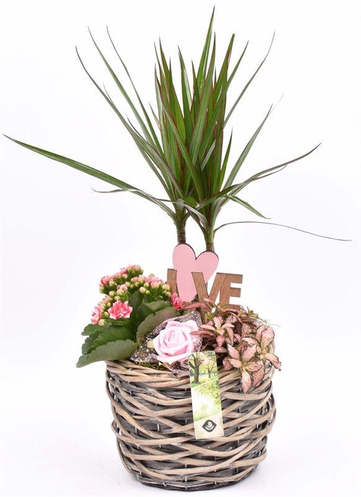 <h4>Wilg mand grijs 18cm</h4>