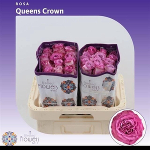 R GR QUEENS CROWN