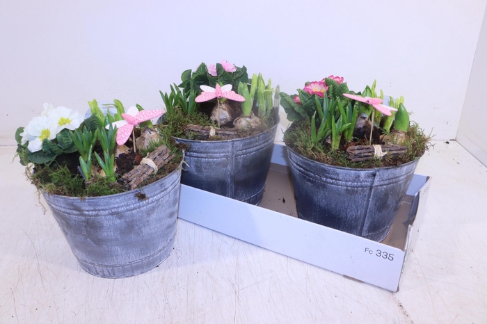 <h4>ARR TUINPLANTEN</h4>