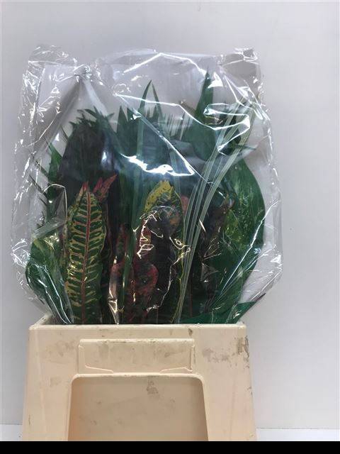 <h4>DECOGROEN GEM</h4>