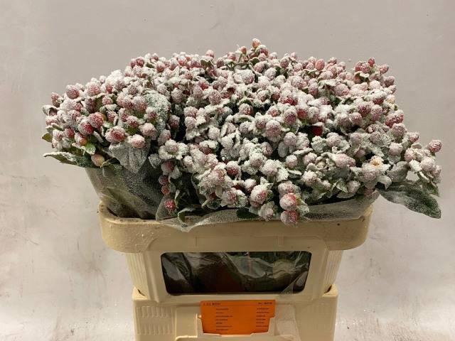 <h4>HYP OV KLB H%</h4>