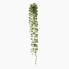 Philo Plant in Pot Green PP550057GRN