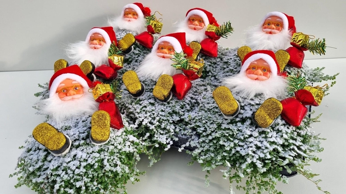 <h4>SOLEI SOL GROEN</h4>