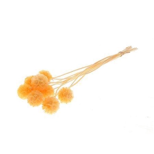 Pres Scabiosa 10pc Orange Bunch Slv