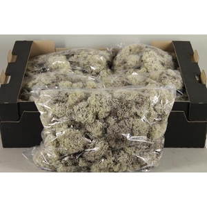 Moss Icelandic 500gr Natural