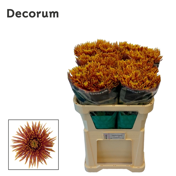 <h4>Chrysanten Chr G Saffina Dark</h4>