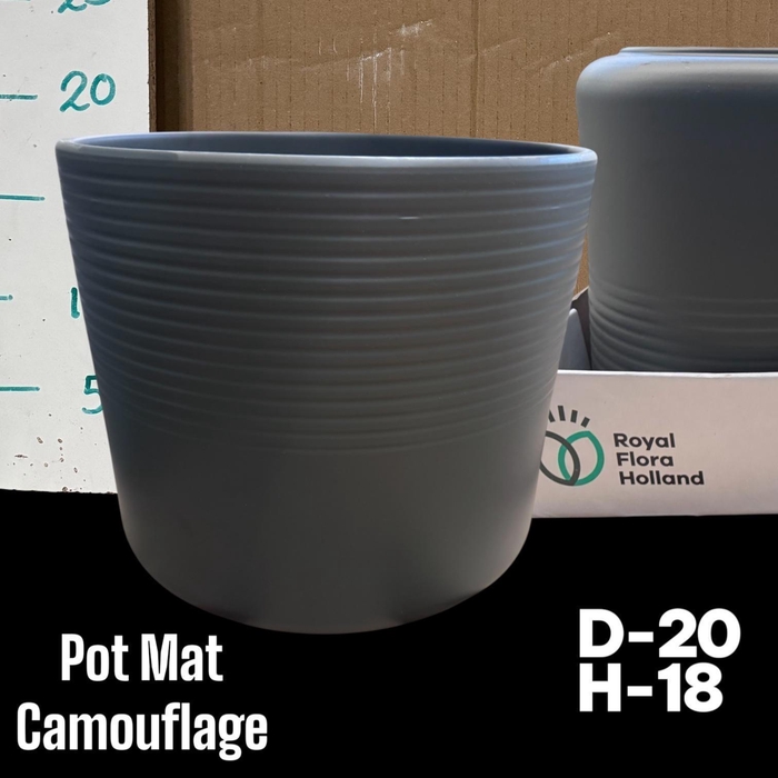 <h4>POT H%</h4>